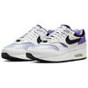 Nike Air Max 1 CH.1 Пурпурный удар AR3863-101