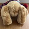 [USED] Harrods Teddy Bear Plush Toy