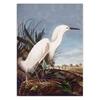 Vintage Bird Canvas Print Audubon Bird Posters Pink Flamingo Snowy Owl Pelican Blue Heron White Egret Canvas Painting Wall Art