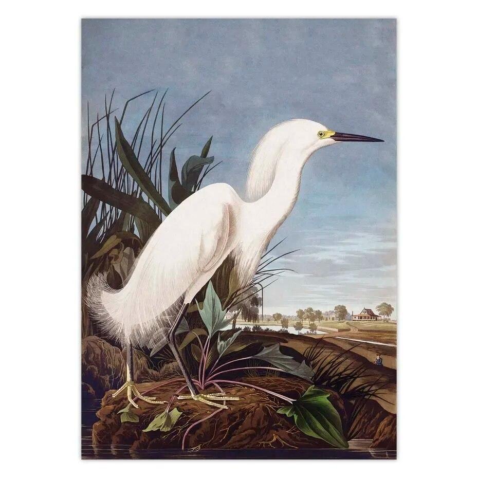 Vintage Bird Canvas Print Audubon Bird Posters Pink Flamingo Snowy Owl Pelican Blue Heron White Egret Canvas Painting Wall Art