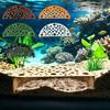 Fish Tank Decoration Shrimp Hide Cave Aquarium Hideout Semicircular Shelter with Multiple Holes for Decor