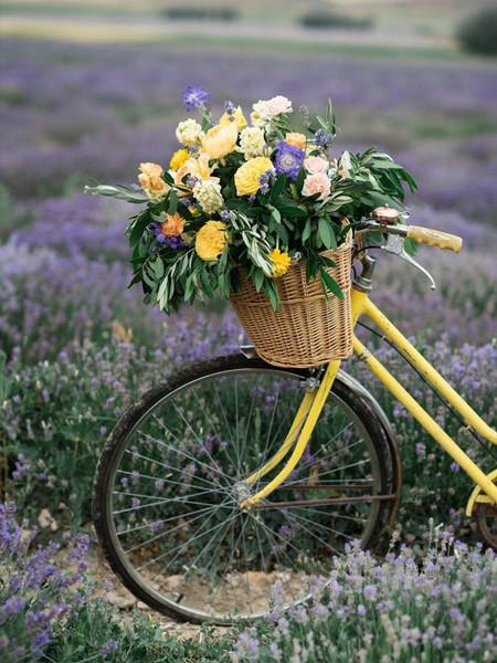 Алмазная картина велосипед Алмазная вышивка мозаика цветок вышивка крестом мозаика ремесла комплект украшения дома