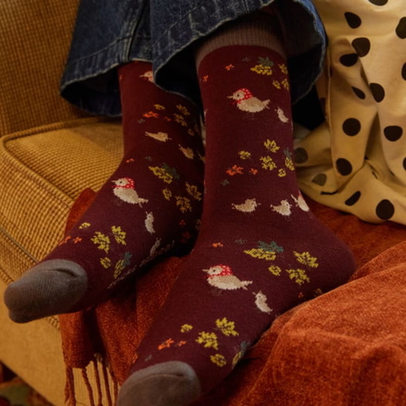 SOCKS APPEAL autumn sparrow family