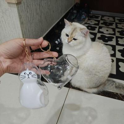 Улучшенный Большой Брелок для Хранения Кошачьей Шерсти Бутылочка для Хранения Шерсти Кошки Прозрачный Контейнер-Коробка для Хранения Шерсти Животных Сумка Подвеска Памятные Подарки для Питомцев