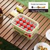 Portable Fresh-Keeping Bento Box for Outdoor Picnic with Large Capacity and Fruit Seal