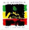 CD BIG MOUNTAIN - Baby I Love Your Way  07863628472 Giant Records 1994 Japan Soul/Funk Used