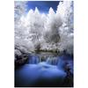 Полный 5D Diy Алмазная картина Зимний кедр Вышивка Крестом Домашний декор Ручной подарок