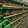 Промышленный газовый датчик и сигнализатор: Детектор утечки ацетилена, аммиака, угарного газа