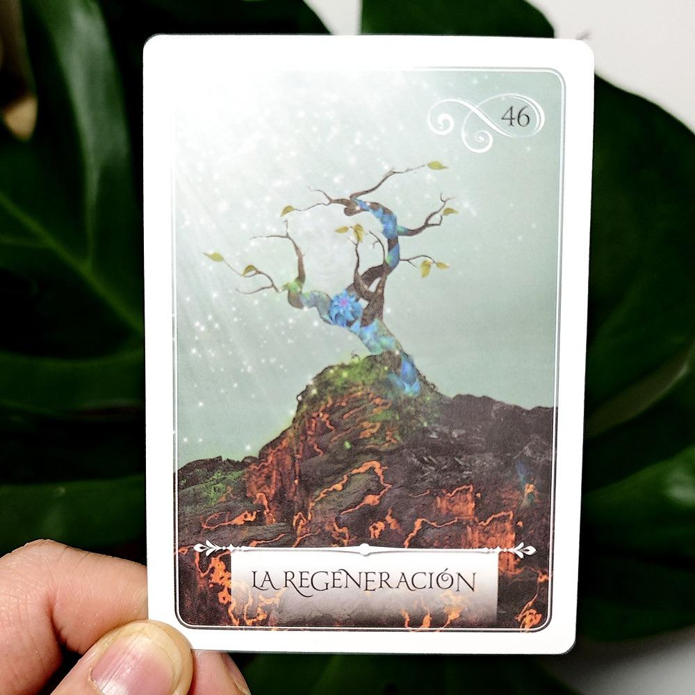 Oracle of Wisdom 10.5*7.5cm To Make Decisions In Life 52 Divination Oracle Cards Spanish Edition