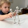 Фигурка скелета подвижная шарнирная анатомическая модель человеческого скелета с оружием смешная позируемая магнитная фигурка скелета для коллекционеров домашний настольный декор