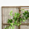 Planter Box with Trellis, Weatherproof, Poly Rattan, 103 x 29 x 103 cm, Sand Color