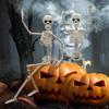 Halloween Skeleton Full Body Posable Joints Ornament Realistic Horrible Skeleton Figure Statue Party Haunted House Supplies