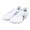 Asics Ds Light Ag Круглый Носок На шнуровке Ag (Резиновый короткий стержень) Футбольные бутсы Мужские Футбольные бутсы Бело-синие 1103A032-107