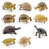 Simulation Amphibian Reptile Model Tortoise Tortoise Star Tortoise Static Decoration Cognitive Ornament Toy