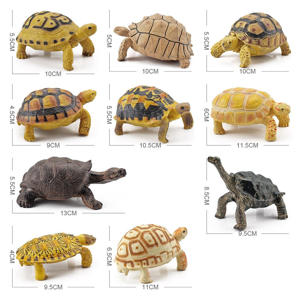 Simulation Amphibian Reptile Model Tortoise Tortoise Star Tortoise Static Decoration Cognitive Ornament Toy