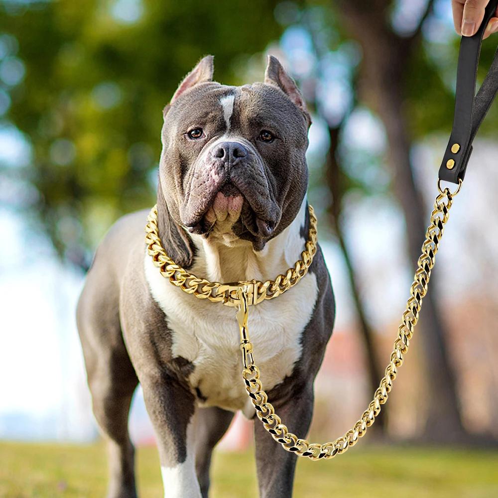 Поводок для собак из нержавеющей стали Pet Lead Traction Super Strong Gold ошейник с цепочкой 32 мм 19 мм ошейник для больших собак Bulldog Pitbull