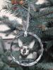 Cornish Rex – Crystal bauble with a photo, photo of a cat in crystal | Art-Dog