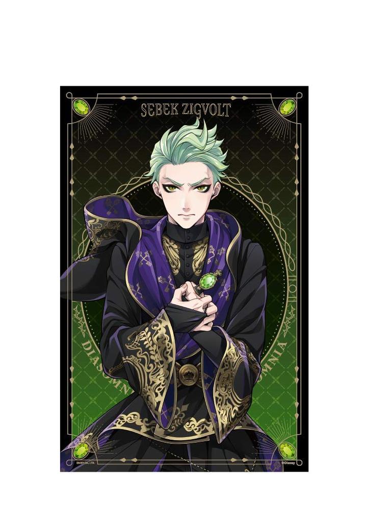 Disney Twisted Wonderland A2 Henkei Tapestry Sebek Zigvolt 22.