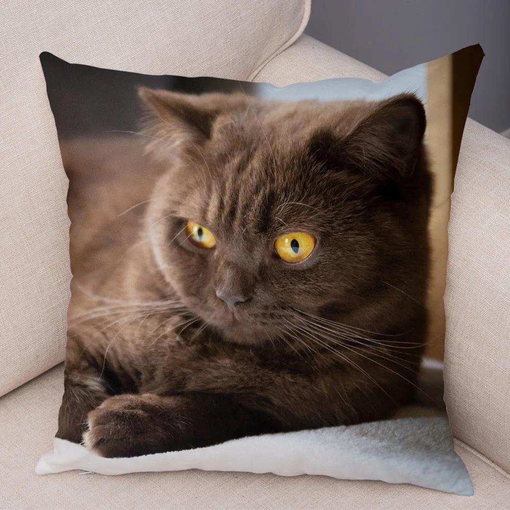 Русская голубая Британская короткошерстная Наволочка Декор Милый кот Домашнее животное Животное Наволочка Мягкий плюшевый Чехол для подушки для машины Дивана Дома