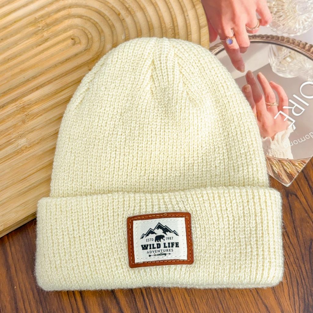 Winter Warm Knitted Hat Fashionable and Versatile Embroidered Label Knitted Hat Outdoor Cold Proof and Velvet Dome Hoodie