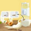 Plastic Parrot Pin Type Water Bottle Dispenser Feeder Hangings Pet Guinea Pigs Squirrels Rabbit Drinking Pipe Fountain