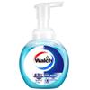 Walch Foaming Antibacterial Hand Wash - Health Care Twin Pack