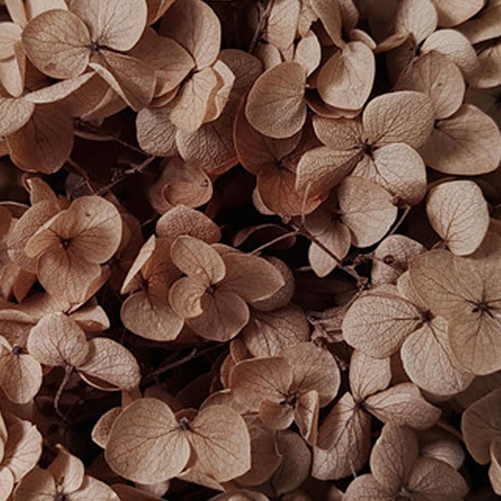 1 коробка цветных сухоцветов натуральные реалистичные головки гортензии своими руками натуральные свежие стабилизированные цветы гортензия свадебные сувениры