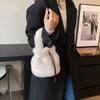Winter Soft Warm Fur Bag Designer Women Bucket Plush Shoulder Bag Small Capacity Messenger Bag Handbag Luxury Ladies Coin Purse