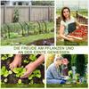 350  x 100 cm Low Tunnel Greenhouse - Clear