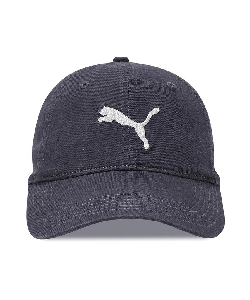 Classics Elevated Dad Cap_02550601_AD