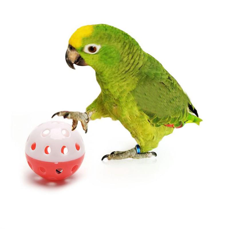 1pc Funny Parrot Toys Hollow Ball With Bell For Parakeet Cockatiel Bird Chewing Sound Toys Bird Toy Accessories Random Color