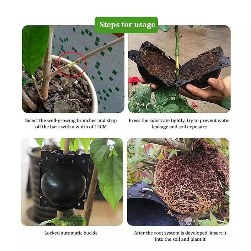 10Pcs Reusable Plant Root Growing Box Cutting Grafting Rooting Ball Garden Rooting Propagation Ball Breeding Equipment