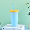 700ml Straw Bottle Eco-friendly Fixed Ring Design PP Color Changing Water Cup Home