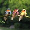 6PCS DIY Accessories Artificial Birds Mixed Color Artificial Bird Model  Garden Ornament