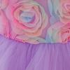 2024 European & American Flower Tutu Dress for Toddlers - Catwalk Style