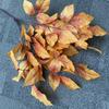 Artificial Leaves Bouquet For Wedding Decor And Event Photography With Realistic Look For Home And Hotel Decoration
