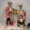 New 40/90cm Halloween Skeletons Fake Full Body Skull Bones Movable Halloween Party Decor for Home Bar Haunted House Horror Props