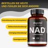 Premium Supplements NAD+ Resveratrol support cellular energy, anti-aging, antioxidant effects, and promote cardiovascular health.