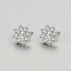 Fraise Earrings S925 Flowers With Zircons