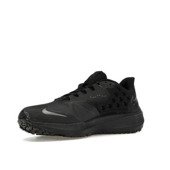 Nike Air Zoom Pegasus 39 Shield Low Черный DO7625-001