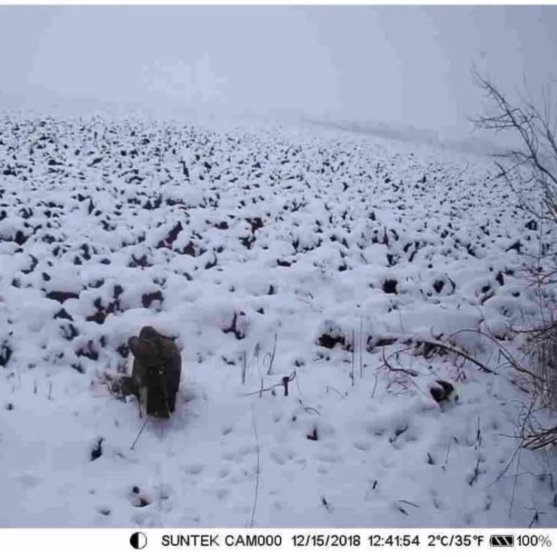 WIFI Камера слежения с прямой трансляцией 4K 30MP Управление через приложение Bluetooth Наружные камеры для охоты Ночное видение WIFI900PRO Наблюдение за дикой природой