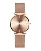 Hannah Martin Women's Watch, Stylish, Classic, Simple, Business Quartz Movement