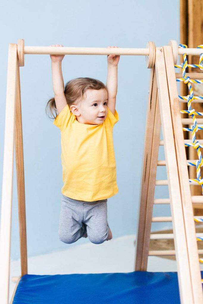 Домашняя игровая площадка Зебра 101 см - базовая