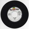 7inch Record IDONIA / BRAMMA - Tell Dem / Dem Fool Fool NONE Big Ship 2009 Jamaica Reggae, Ska & Dub Used