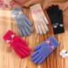 Autumn Winter Touch Screen Knitted Gloves Women Cute Plus Velvet Warm Cycling Cold Weather Gloves
