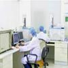 Гриб порошка Кордицепс Милитарис органический, богатый травяными аминокислотами белка