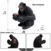 Large Red Orangutan Monkey Model - Cognitive Children's Zoo Gift