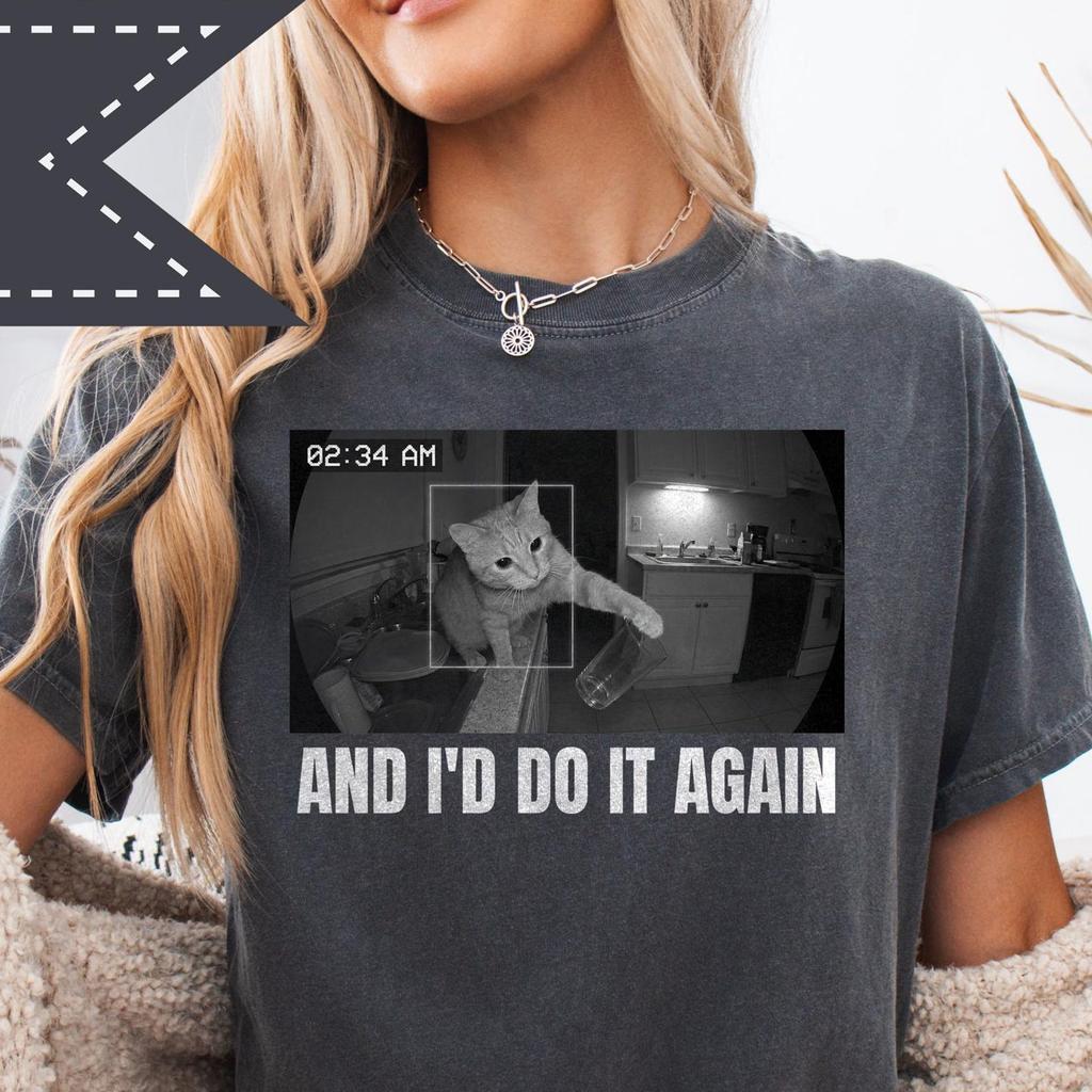 And I'd Do it Again Cat Tee, Funny Cat Knocking Over Glass Gift, Funny Cat Gang Comfort Colors Shirt