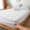 Quilted Bed Mattress Cover Thicken Bed Fitted Sheet Skin-friendly Mattress Topper Cover with Elastic Band Bedcover Bedcloth (No Pillowcase)