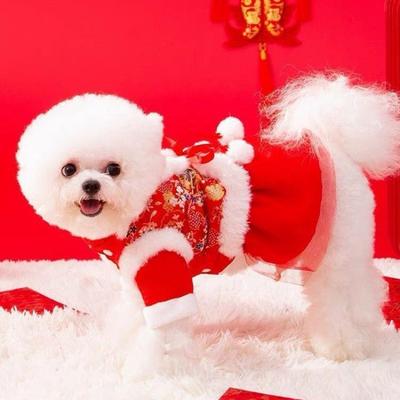 Теплая новая плюшевая юбка одежда для собак зимняя утолщенная для кошек праздничная одежда для собак на китайский Новый год осенне-зимние модели